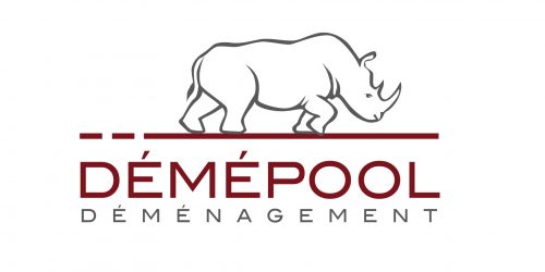 LOGO DEMEPOOL